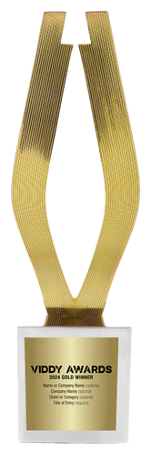 Viddy Award
